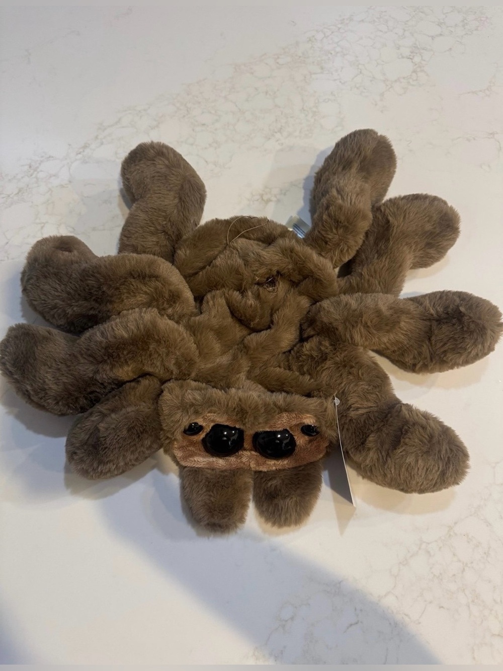 Build A Bear Jumping Spider new Bab Halloween